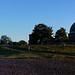 Robert Calton Photo 10