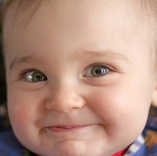 Robert Meek Photo 38