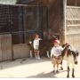 James Bradley Photo 3