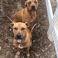 Jay Vaughan Photo 30