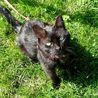 Nancy Foran Photo 18