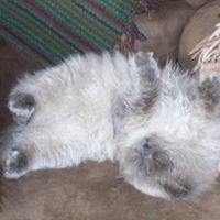 Claudette Smith Photo 26