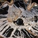 Cindy Wood Photo 36