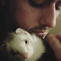 Steven Fairbanks Photo 10