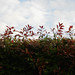 Linda Bush Photo 29