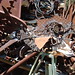 Christopher Weld Photo 14