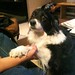 Teresa Shook Photo 18