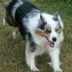 Martin Bell Photo 20