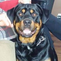 Gregory Cyr Photo 11