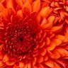 Kate Yoder Photo 5