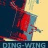 David Wing Photo 31