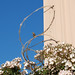Lisa Finch Photo 25