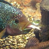 Jerry Summers Photo 25