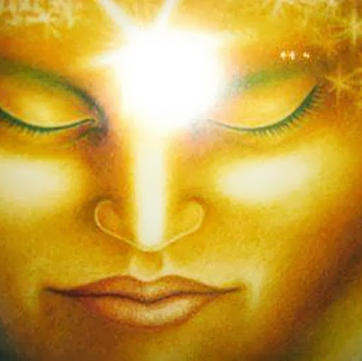 Alison King Photo 25