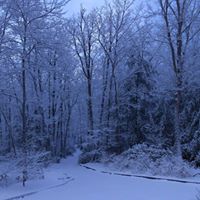 Linda Hudson Photo 41