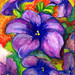 Deborah Wilder Photo 11