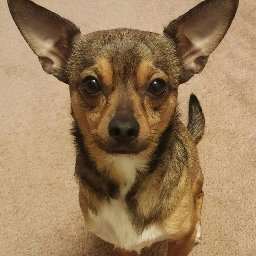 Kevin Stallings Photo 14