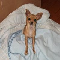 Charles Tidwell Photo 25