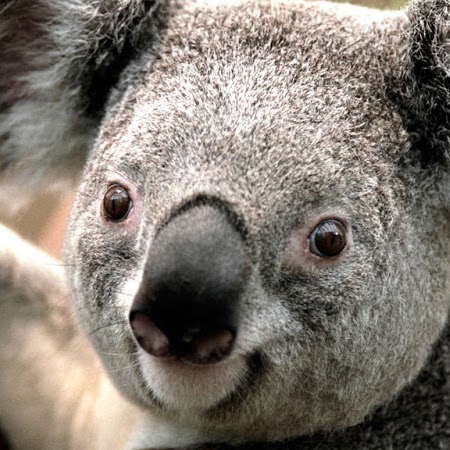 Jennifer Heim Photo 31