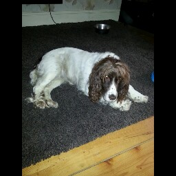 Jacqueline Sheppard Photo 8