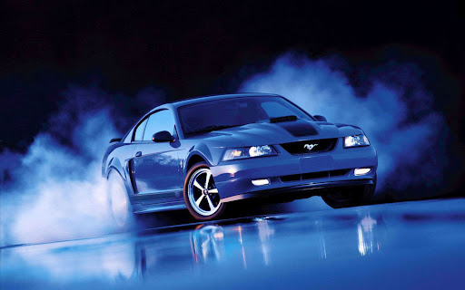 Jason Tuttle Photo 23