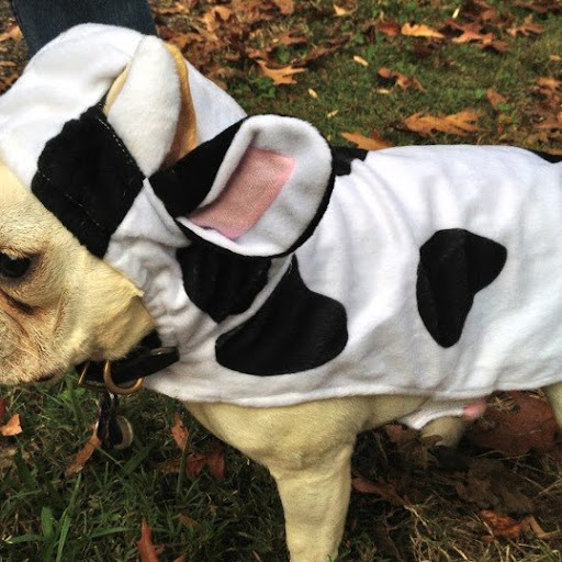 Gregory Cartwright Photo 12