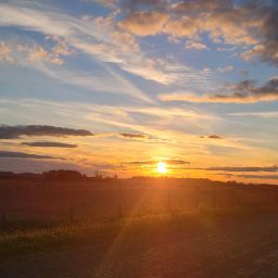 Sarah Pollock Photo 20