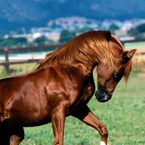 Tracy Mcgregor Photo 10