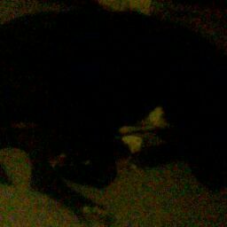 Edward Lewis Photo 20