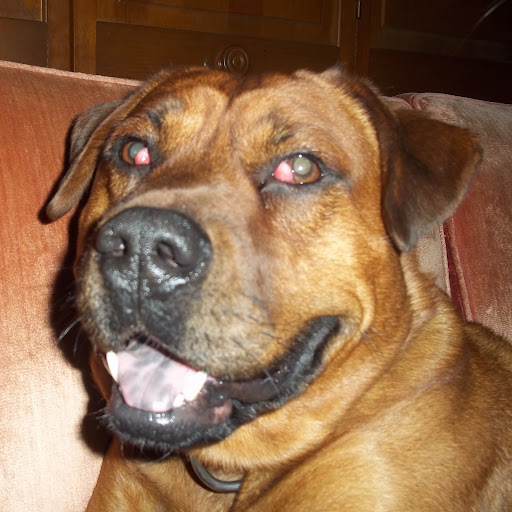 Timothy Massey Photo 7