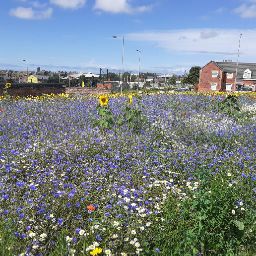 Sarah Osborne Photo 40 Sarah Osborne Photo 40