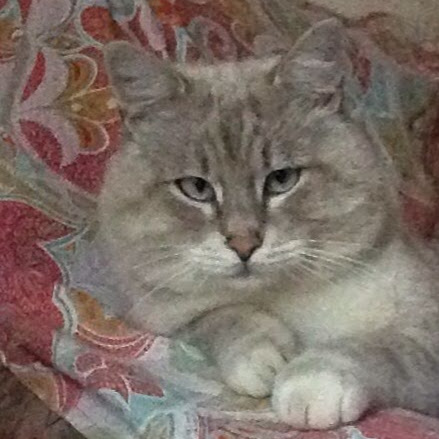 Joey Potter Photo 35