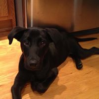 Rebecca Mccoy Photo 20