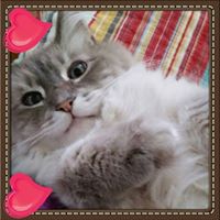 Sally Erickson Photo 14