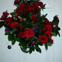 Suzanne Carr Photo 33