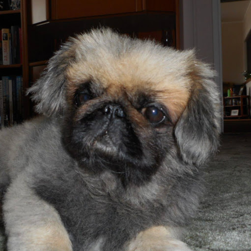 Christina Schwarz Photo 11