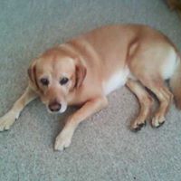 Bobby Goodwin Photo 30