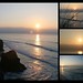 Misty Cornish Photo 8