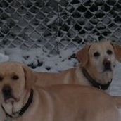 Janet Mccune Photo 3