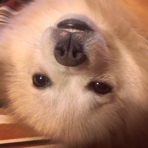 Casey Watson Photo 31 Casey Watson Photo 31