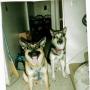 Nancy Schaefer Photo 6