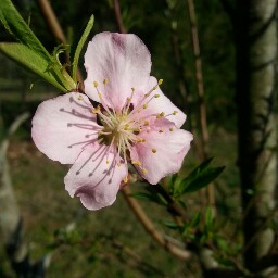 Donna Dobson Photo 11