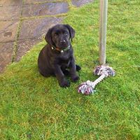 Alice Currie Photo 23