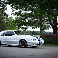 William Macleod Photo 10