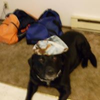 Julia Gardiner Photo 11