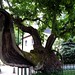 Paul Laub Photo 5