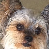 Kelly Hooper Photo 24