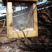 Allan Peck Photo 5