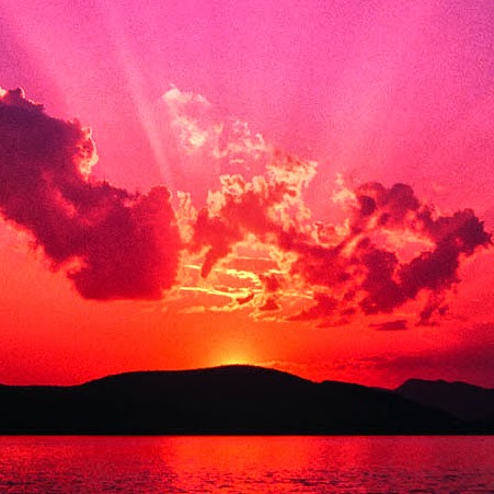 Michael Mallett Photo 38 Michael Mallett Photo 38