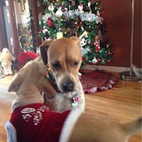 Jill Murphy Photo 43